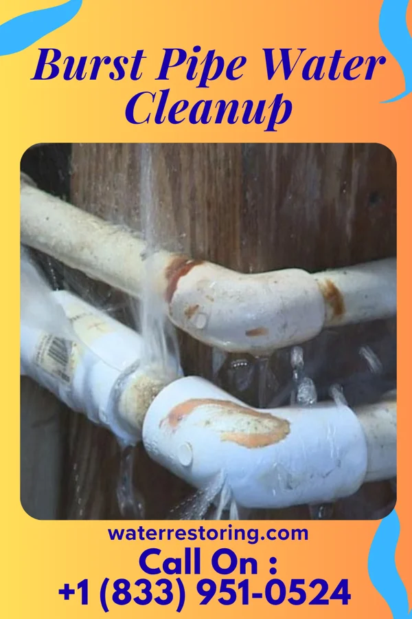 Burst Pipe Water Cleanup in Beaver City, NE