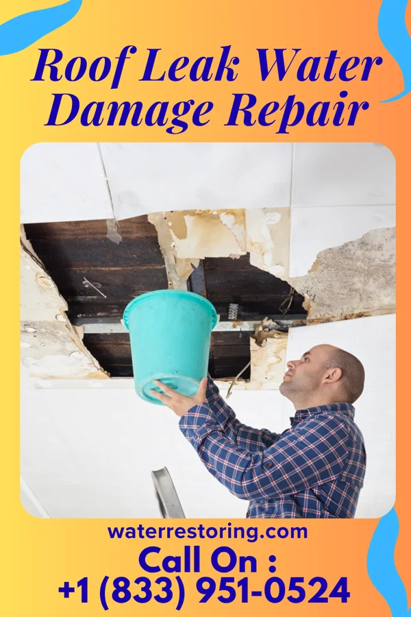 Roof Leak Water Damage Repair in Beaver City, NE