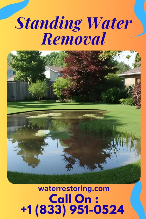Standing Water Removal in Beaver City, NE